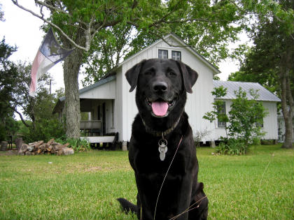 Simon at the HomePlace